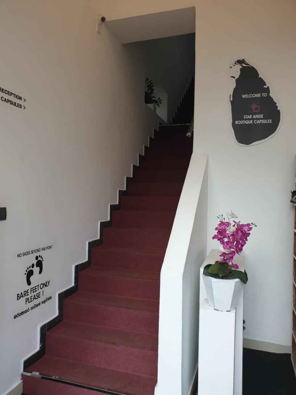 Star Anise Boutique Capsules Hotel โคลอมโบ ภายนอก รูปภาพ